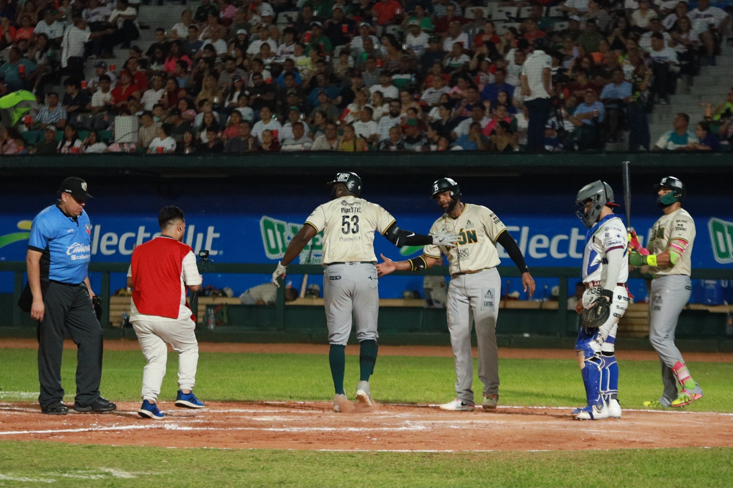 Bravos de León