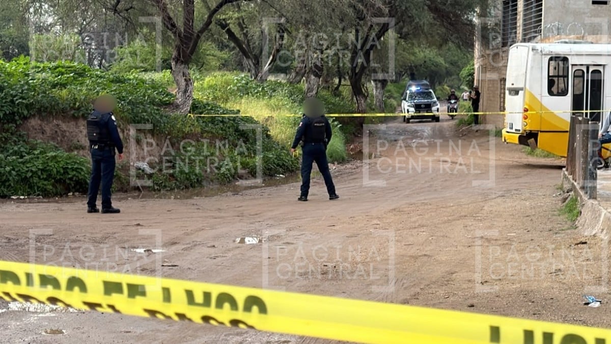 ADOLESCENTE SIN VIDA EN PASEOS DE LAS MARAVILLAS