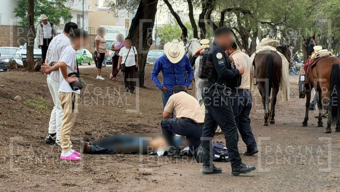 Jinete cae de un caballo frente a clínica del IMSS; esto pasó