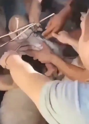 Bebé rescatado