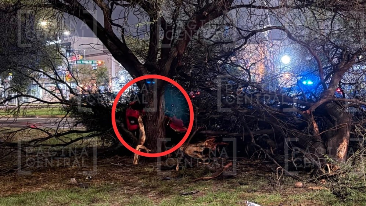 ¡Brutal choque! Hombre queda grave tras estrellarse contra un árbol en León