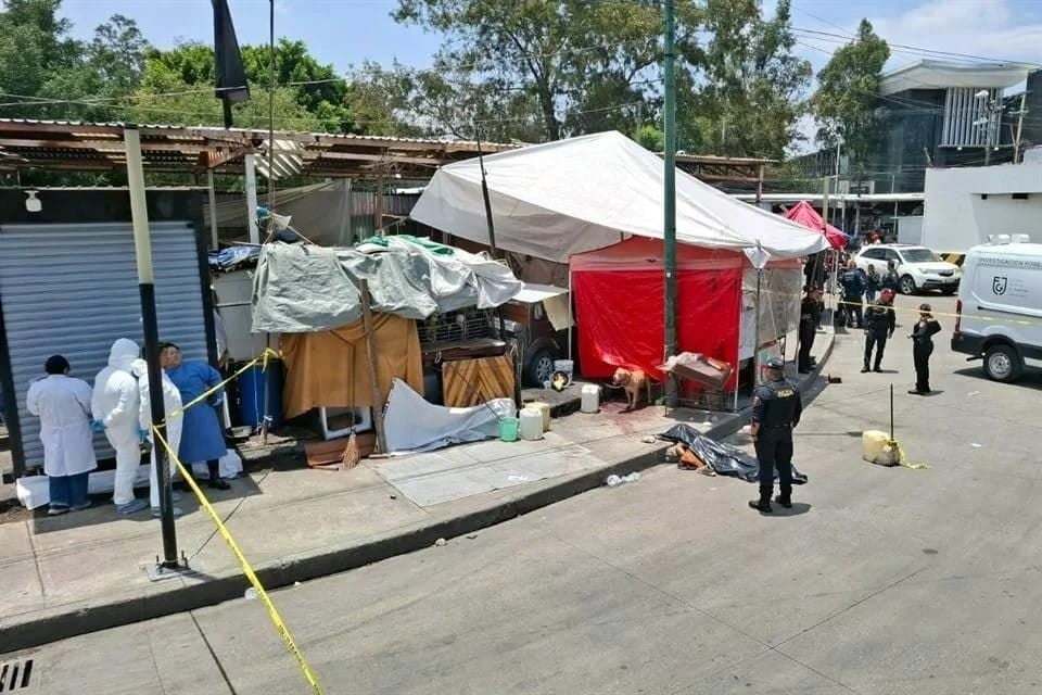 ¡Lo atacó hasta matarlo! Pitbull agrede a hombre que esperaba el camión