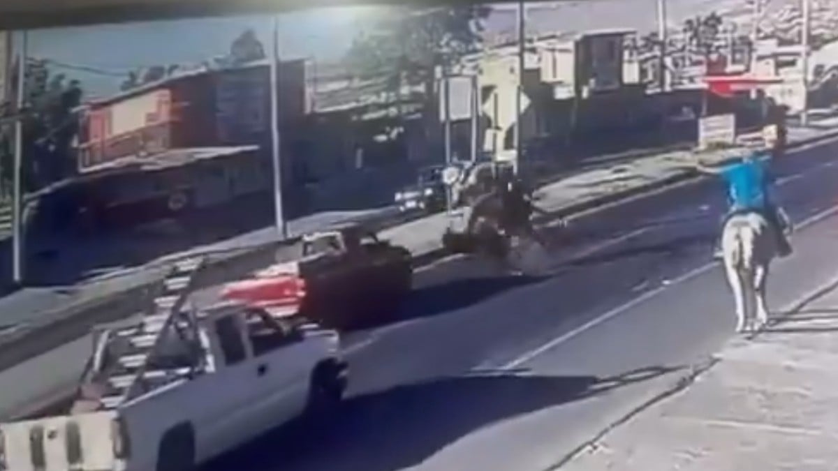 Caballo provoca accidente