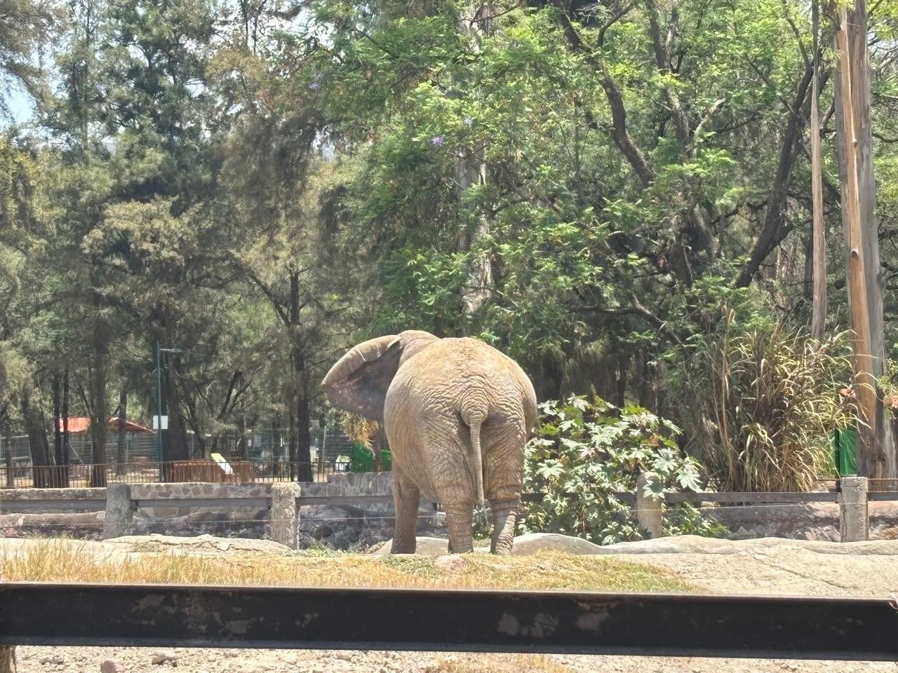 Zoológico de León
