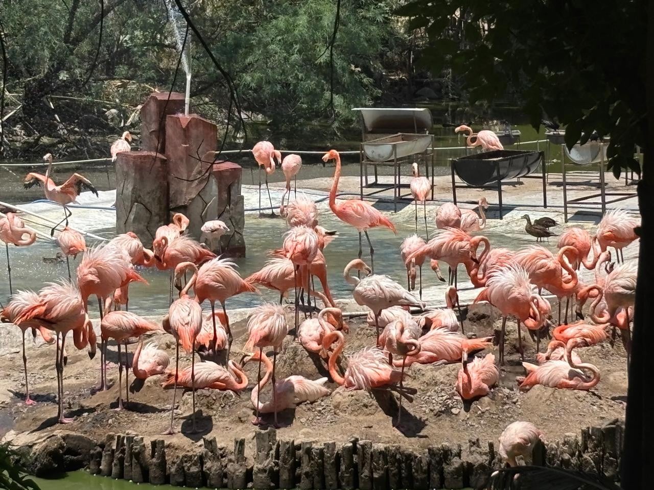 Zoológico de León
