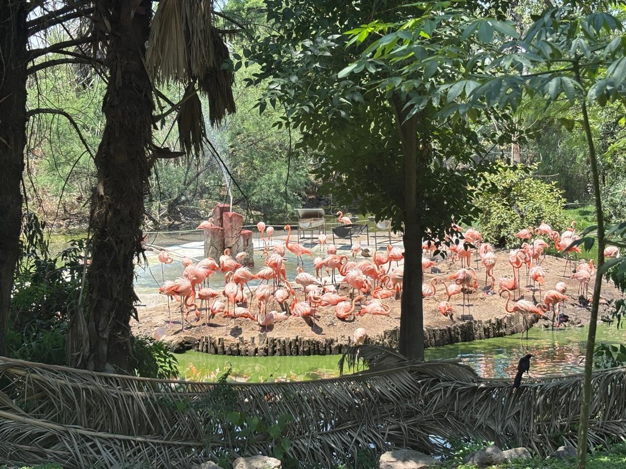 Zoológico de León
