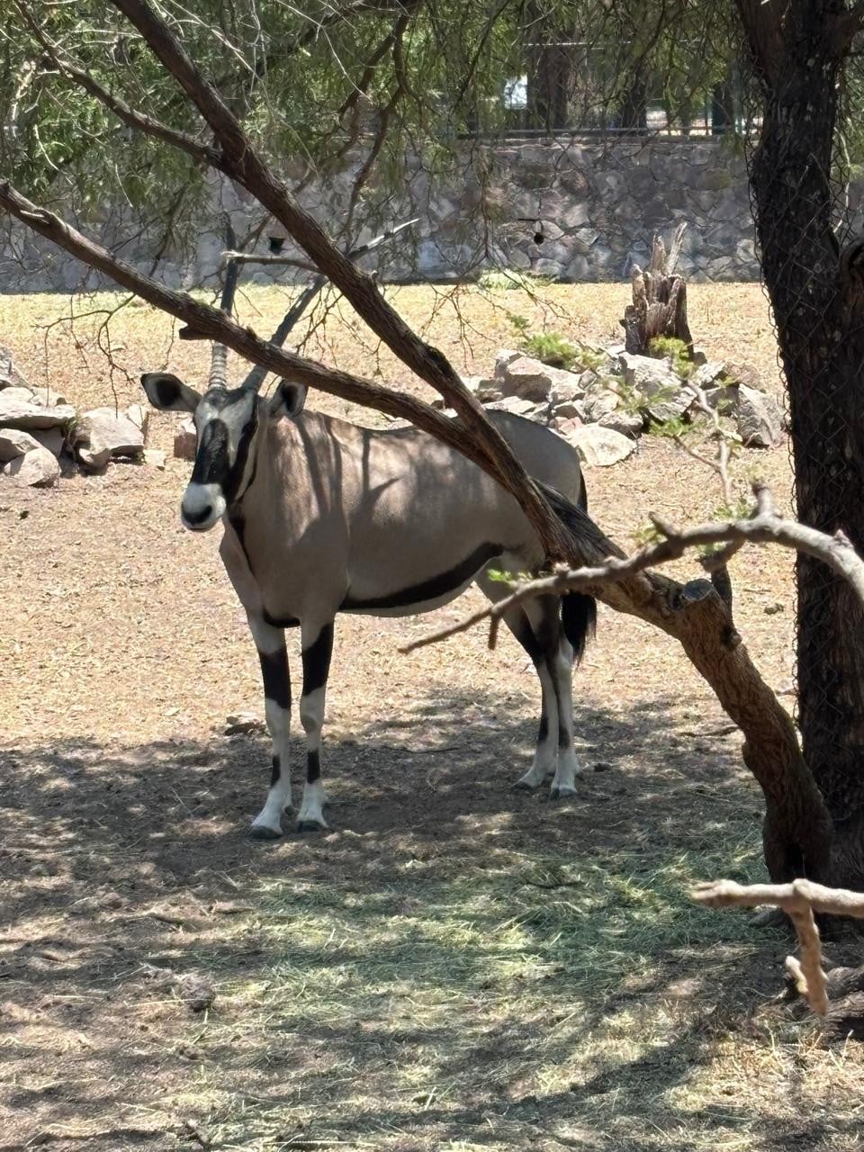 Zoológico de León