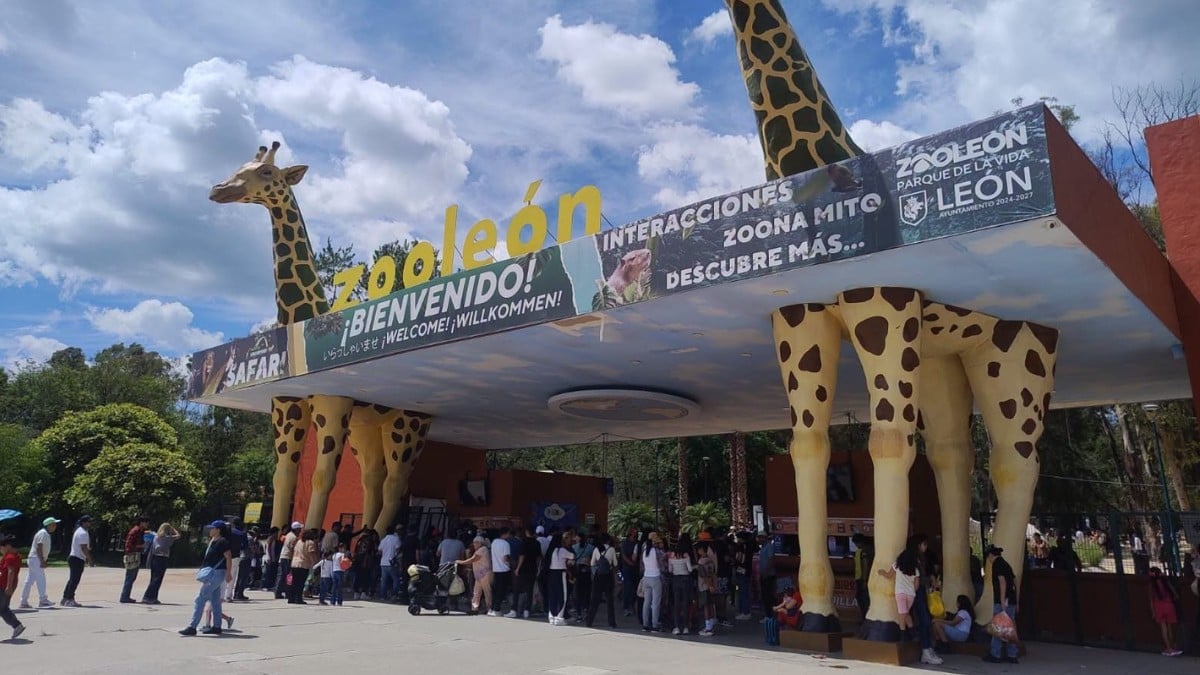 Entre polémicas y disminución de visitantes, Zoológico de León pide subsidio de 10 millones