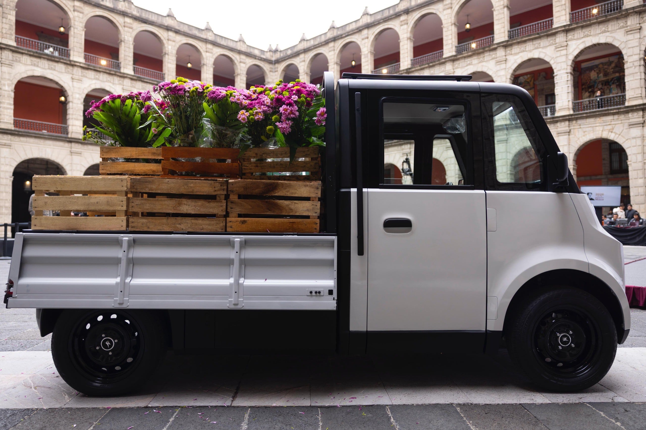 Camioneta Olinia