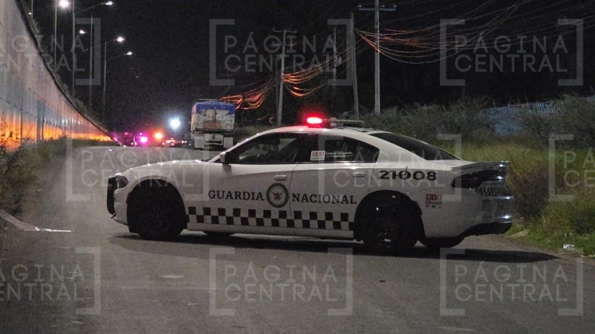 Masacre en Irapuato Masacre en Irapuato
