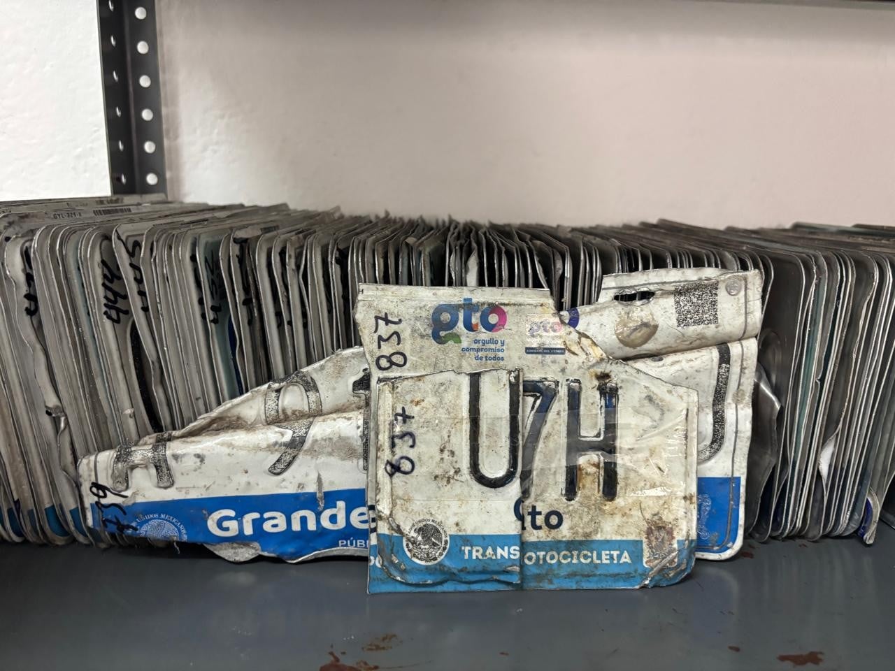 ¿Perdiste las placas de tu carro o moto en León? Te decimos dónde recuperarlas y qué necesitas