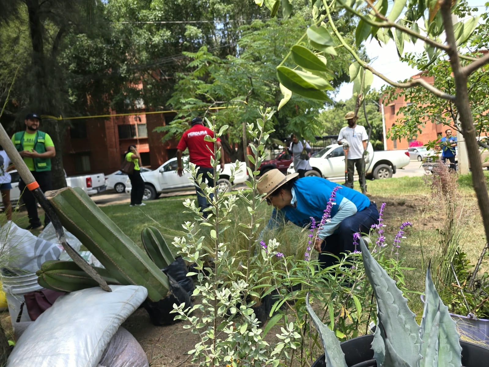 ¡De basurero a oasis! Vecinos y alumnos transforman este rincón en un bello parque