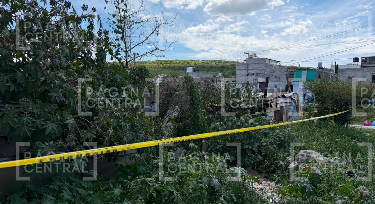 ¡Olores llegaron hasta plaza de León! Olores fétidos delatan a anciano muerto en una choza