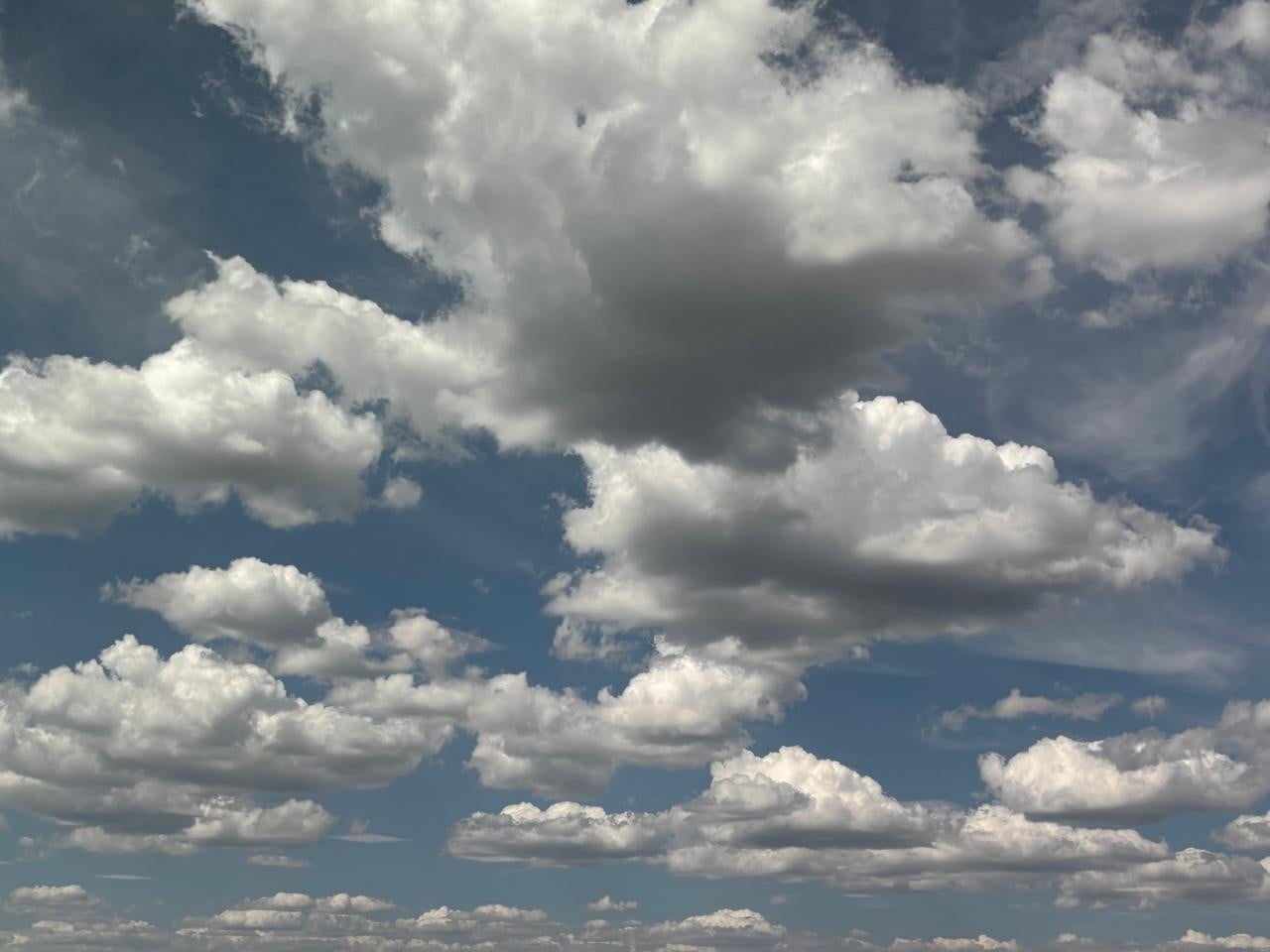 Clima en León