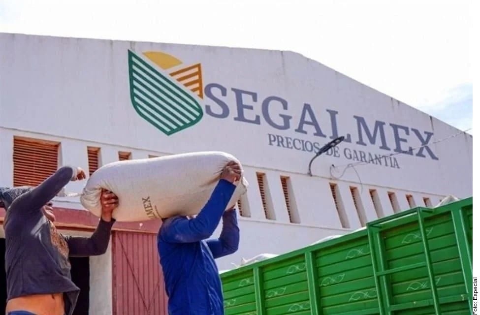 Van por empresarios del caso Segalmex