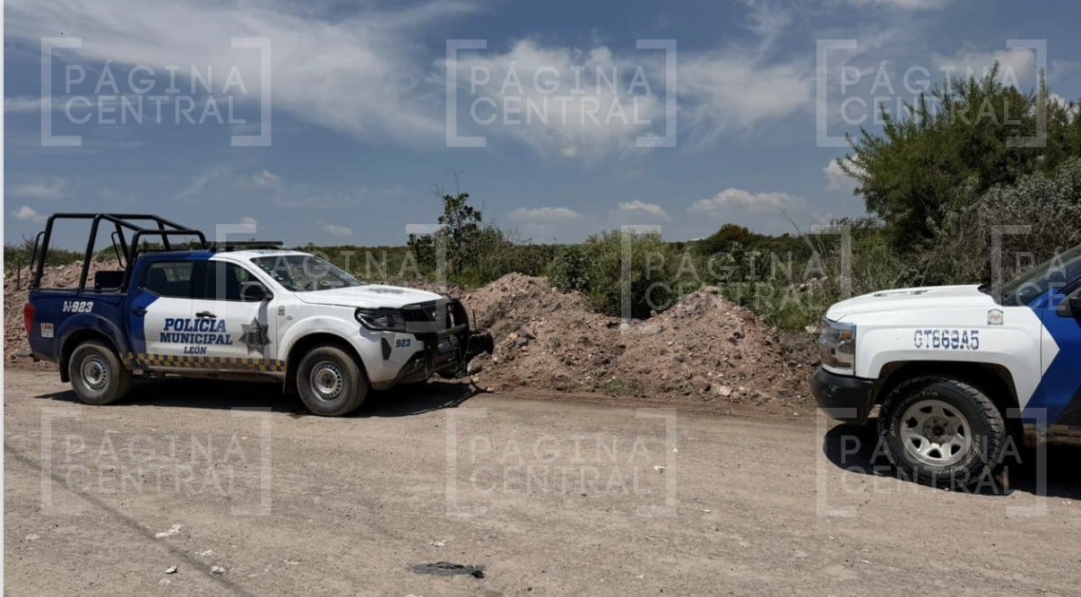 ¡Escalofriante sorpresa! Hombres hallan osamenta humana mientras pastoreaban su ganado