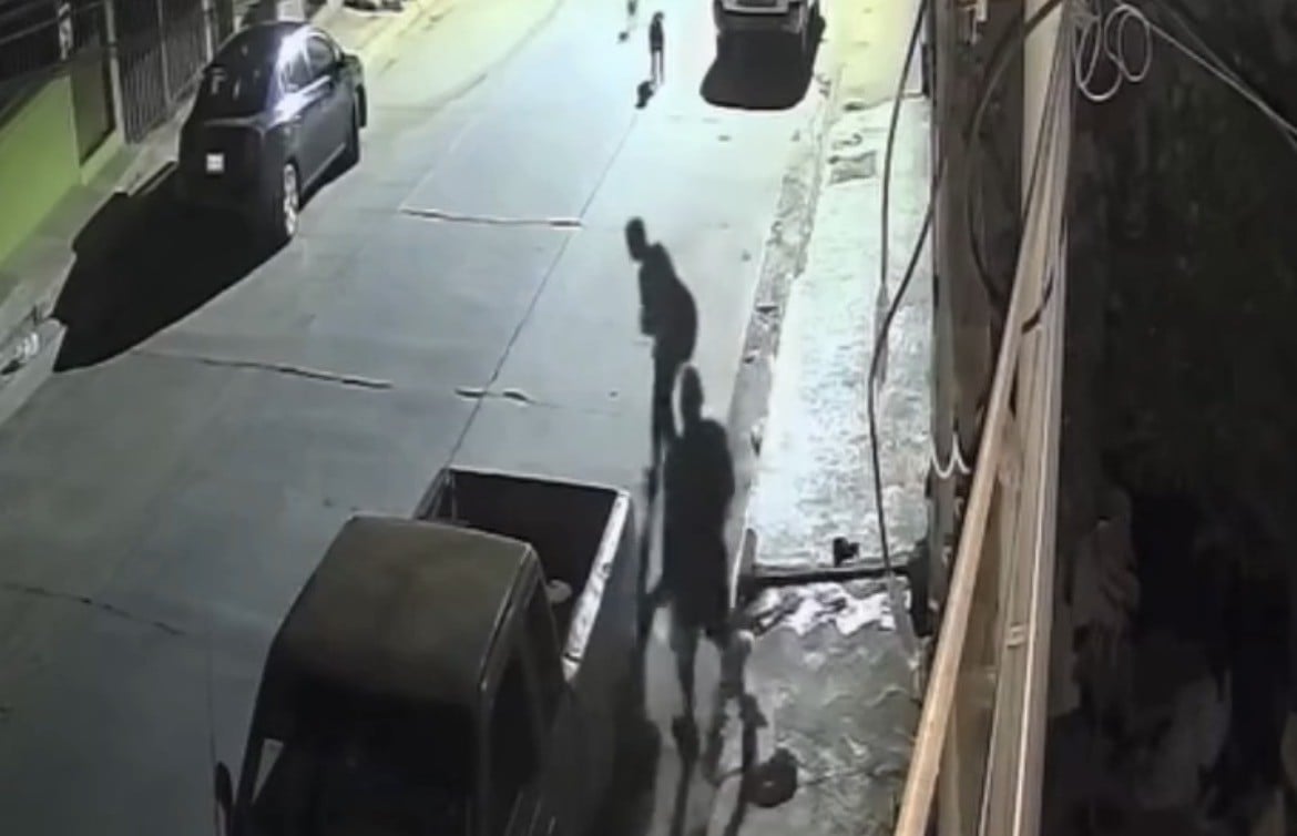 VIDEO Hombre enfrenta a sujeto para salvar a su gata del ataque de sus perros