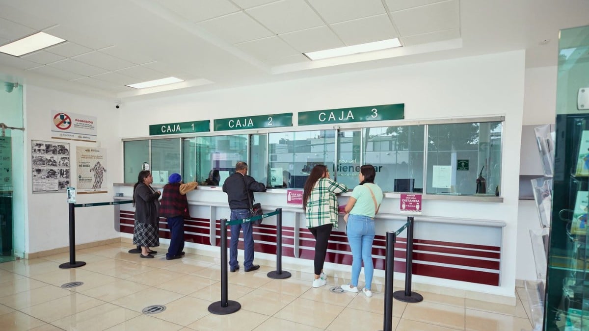 ¡Alerta! Este día suspenderán los depósitos de la Pensión del Bienestar; prepárate
