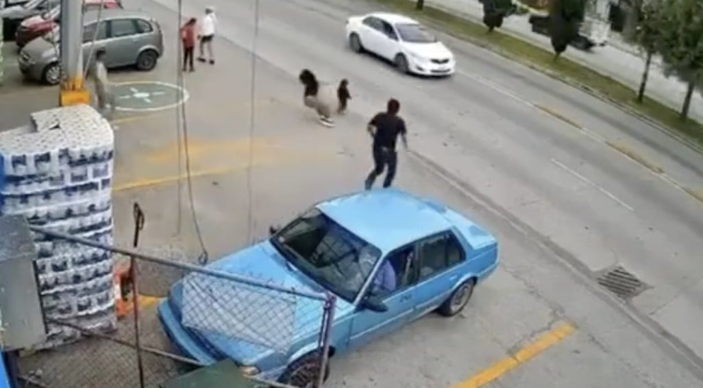 VIDEO ¡Aún hay buenos! Salva a pequeña de ser atropellada