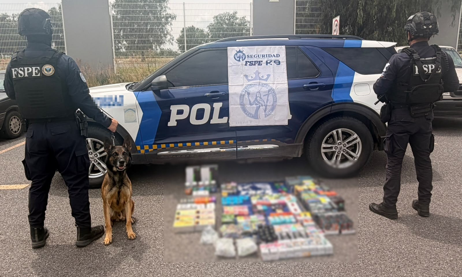 ¡Operativo canino! Asegura FSPE cargamento ilícito con vapeadores en mensajería
