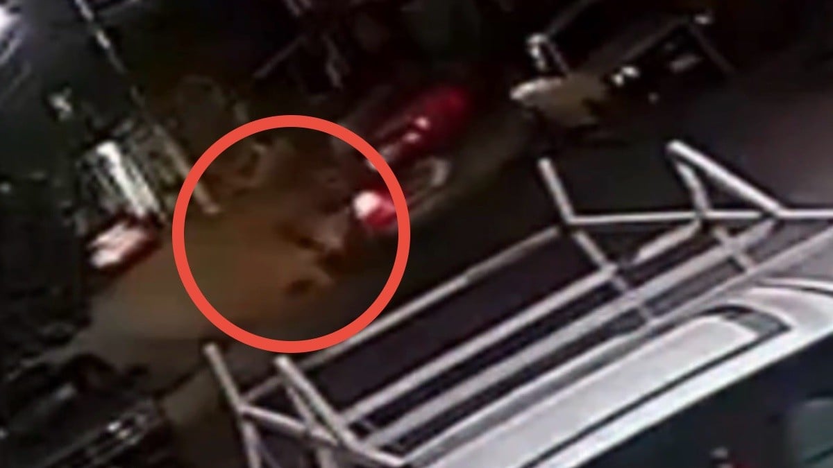 VIDEO Iba de reversa cuando atropelló a un niño, lo que hizo después dejó frío a todos