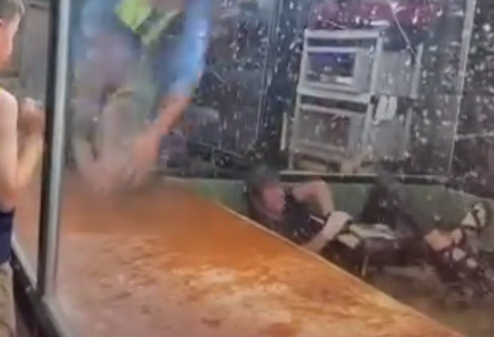 VIDEO ¡La mordió un cocodrilo! Visitante, impactado, hizo esto al verla atrapada