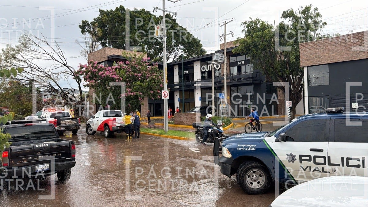 Caída de árbol en bulevar Ibarrilla, León, provoca daños en una barda y un vehículo; la circulación permanece parcialmente cerrada