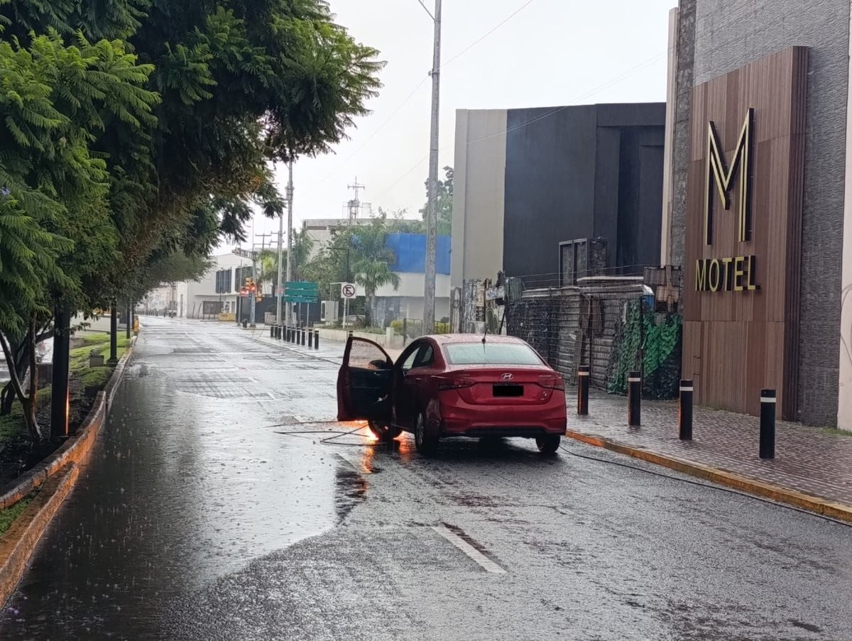 LOS DAÑOS