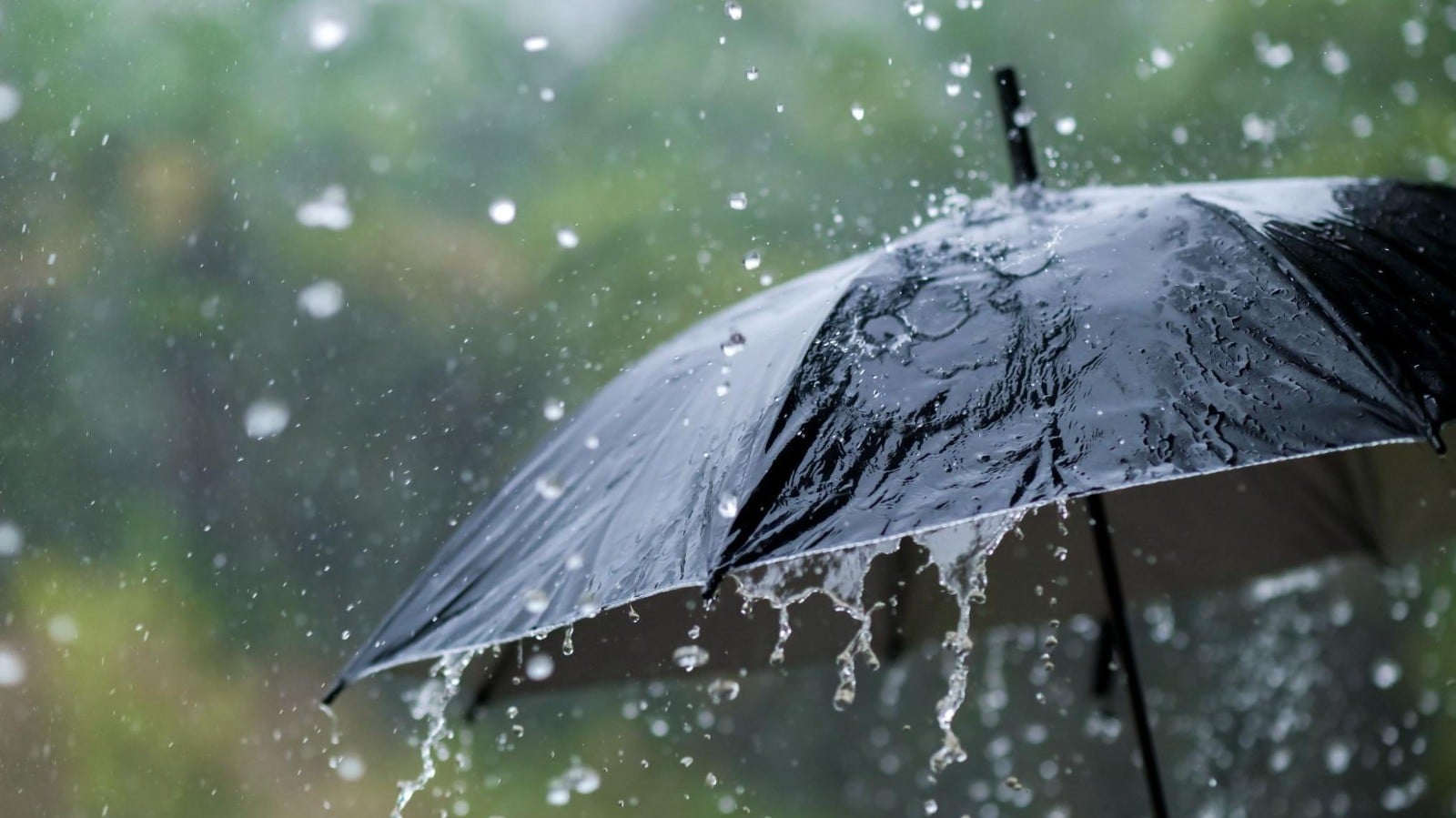 ¡Lluvia y más lluvia! Esta es la informacIón que emitió la Universidad de Guanajuato