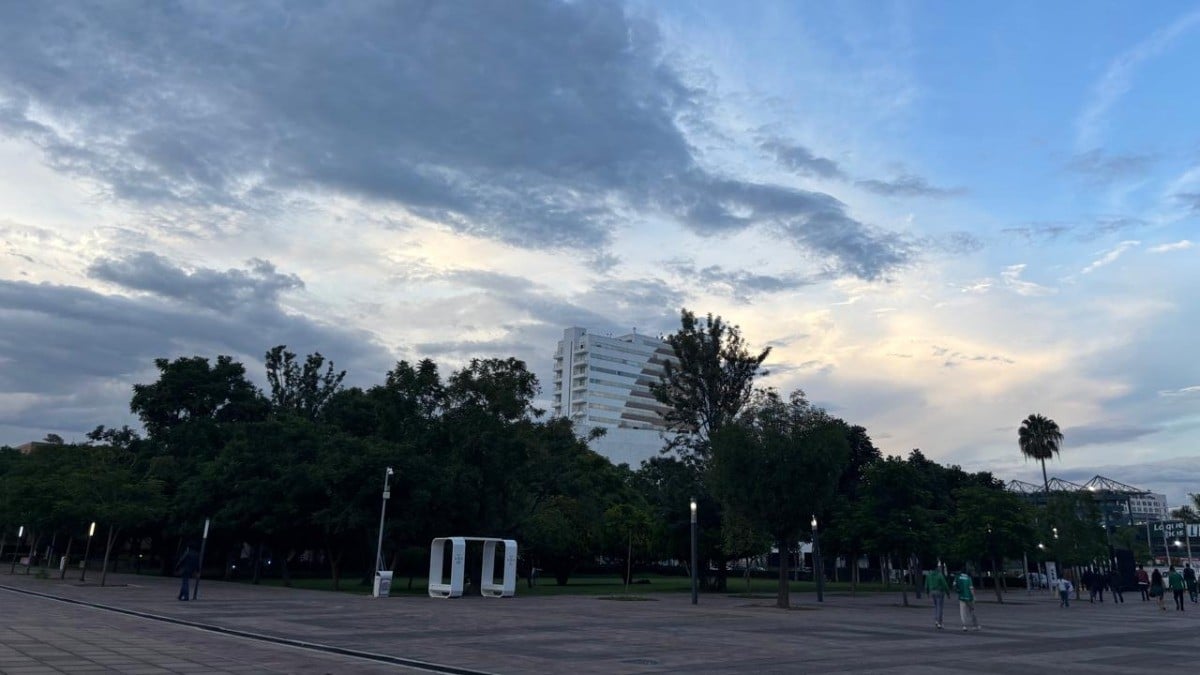 ¿Listo para El Grito? No olvides la bandera y el paraguas porque a esta hora va a llover
