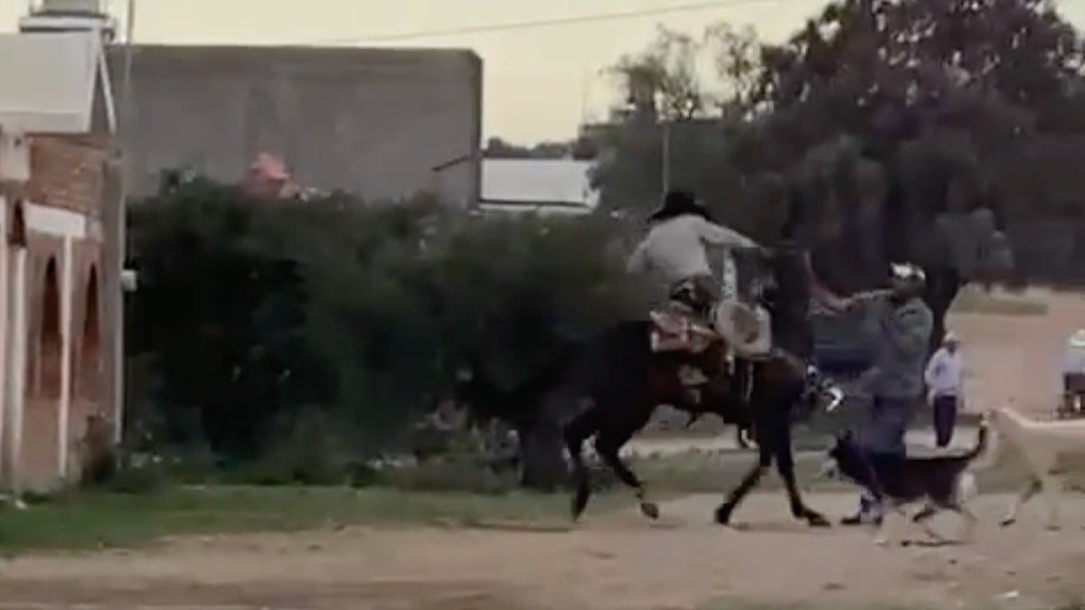 VIDEO ¡Pelea mortal a caballo! Así un jinete da machetazo en la cabeza a hombre