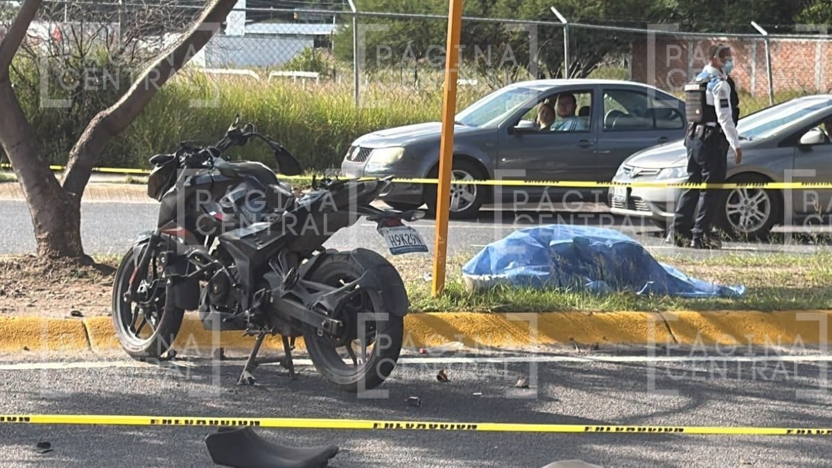 ¡Tragedia en moto! Estudiante muere al estrellarse con árbol en curva; llevaba su uniforme
