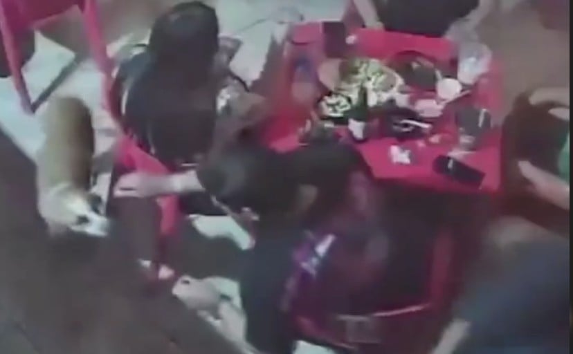 VIDEO Perrito creía que iba a recibir comida, pero le hicieron esto