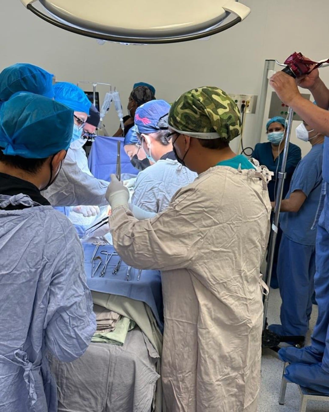 Donación de órganos en León