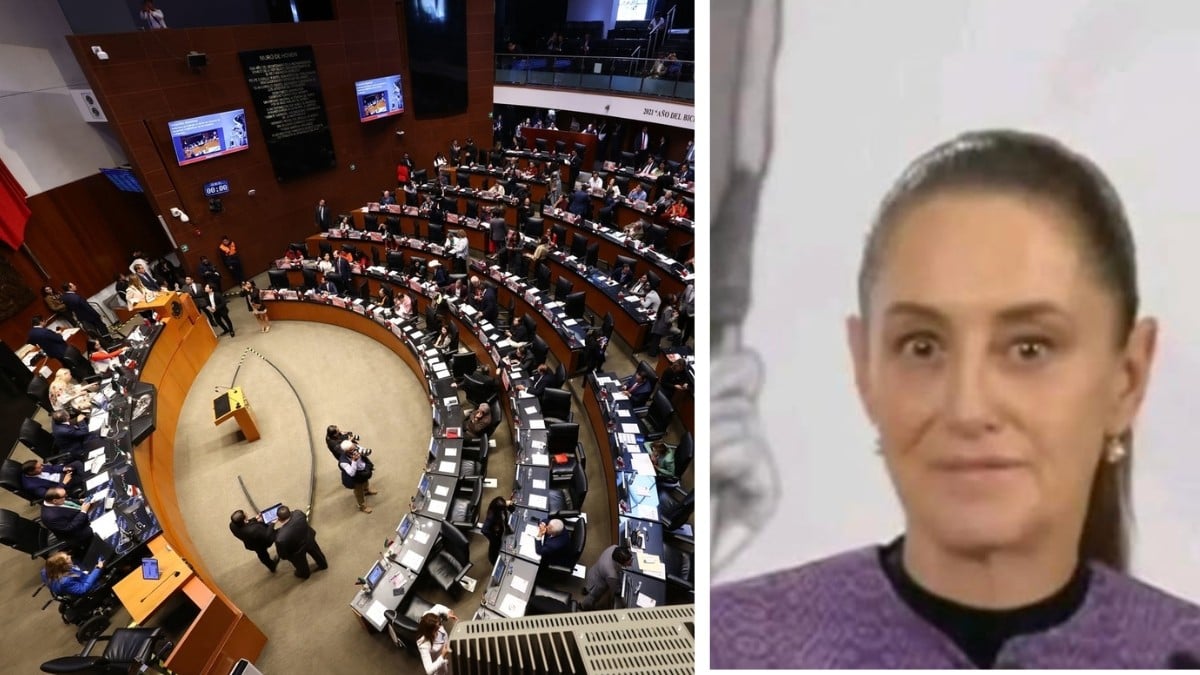 Quiere la 4T cárcel por memes y parodias