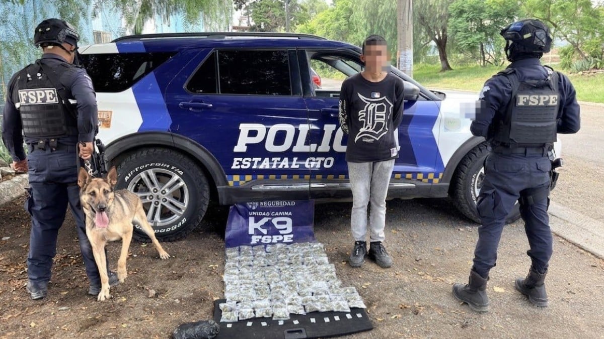 Caminaba con una bolsa en Parques de San Juan cuando perro policía lo señaló; llevaba droga