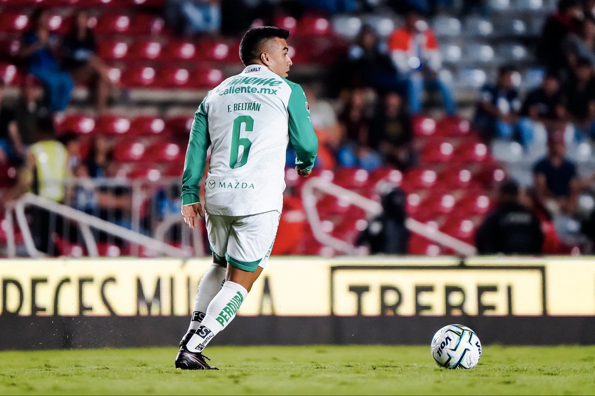 Fernando Beltrán