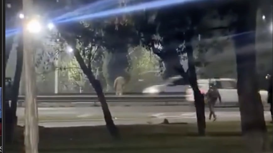 VIDEO Lo acusaron de robar, lo persiguen y todo terminó de la peor forma