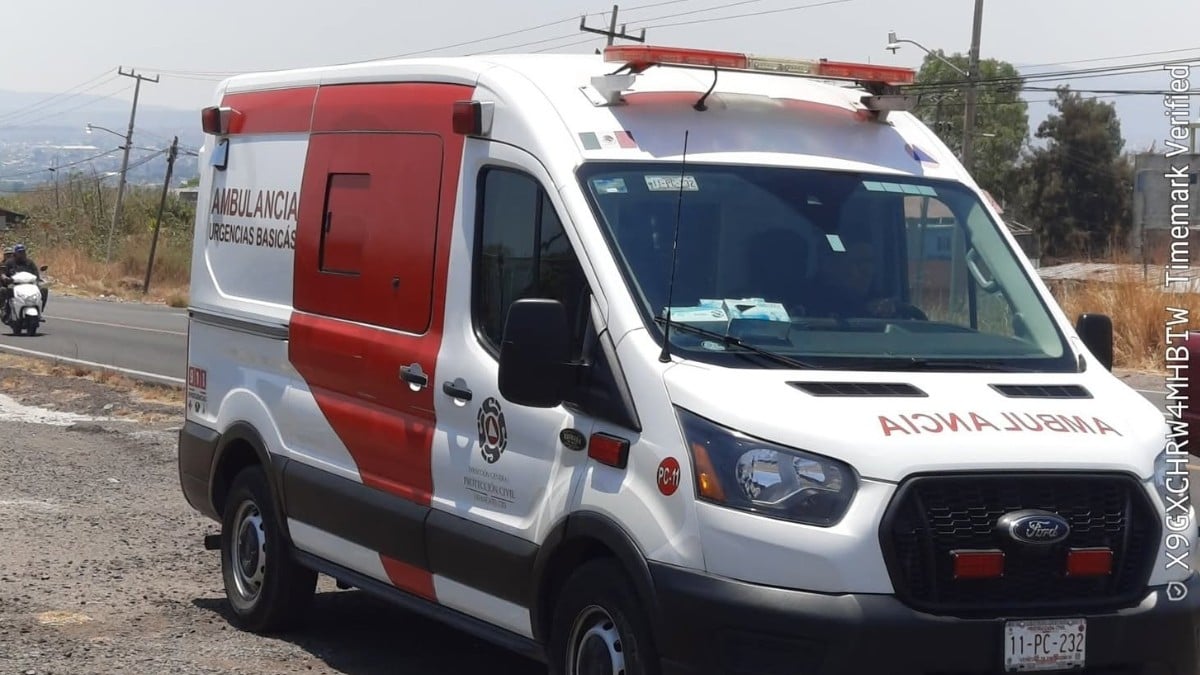 Pareja de adultos mayores estaban afuera de su casa cuando abejas los atacan; él murió