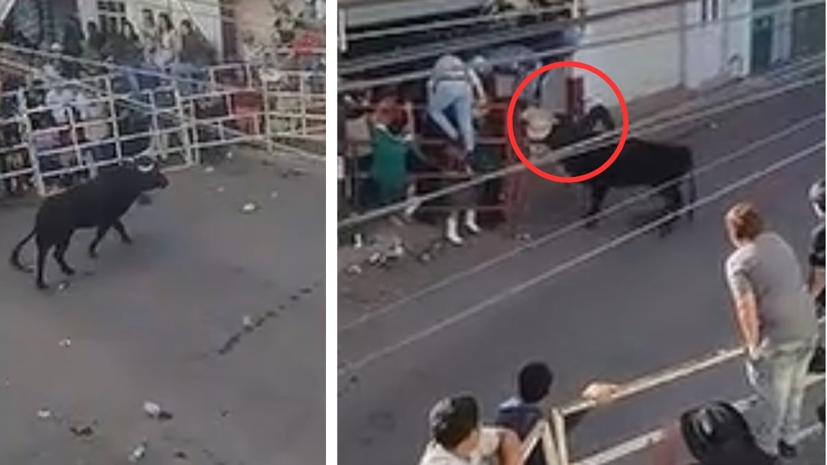 VIDEO ¡La fiesta se volvió tragedia! Toro cornea a hombre y Tarimorada termina en luto