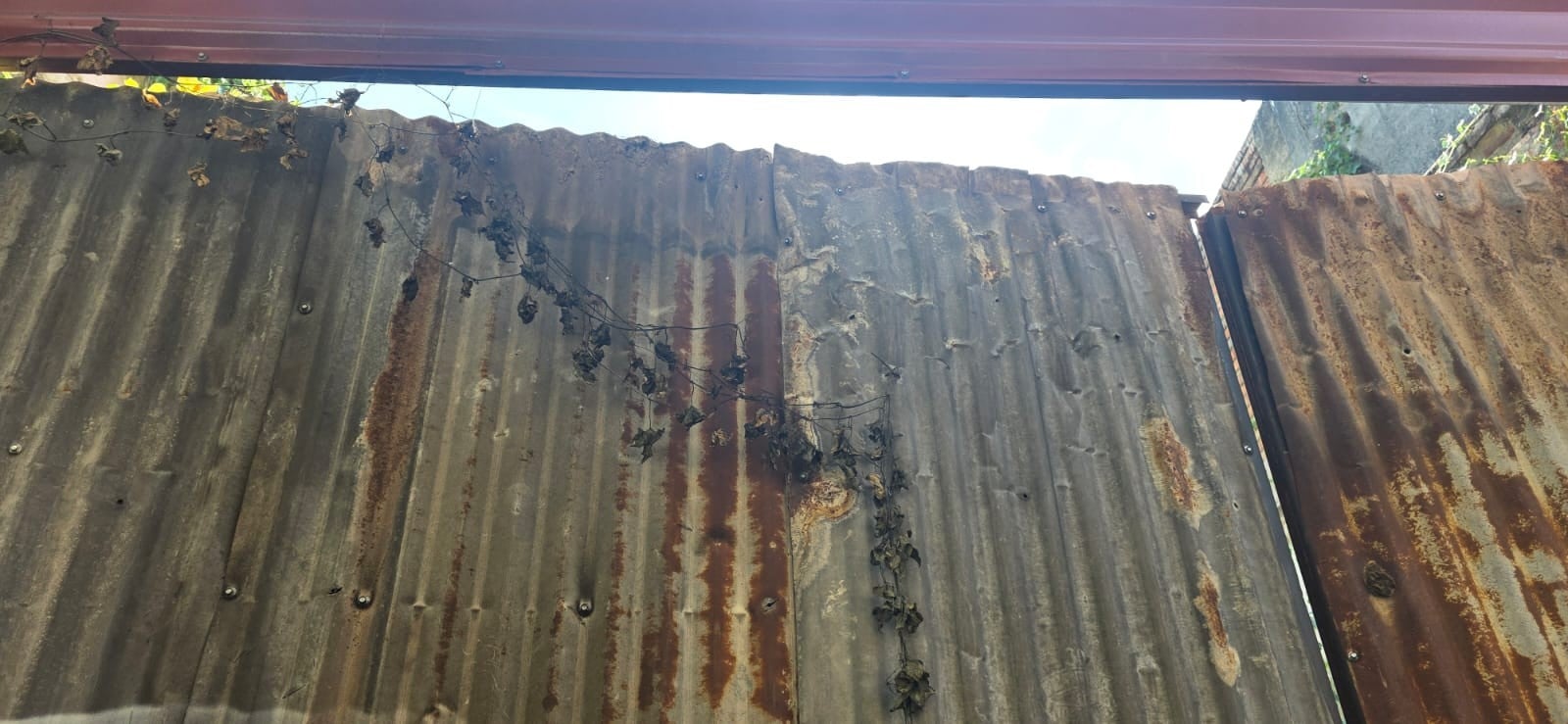 Basura acumulada y quemada genera molestias y preocupación entre vecinos de la calle 27 de septiembre