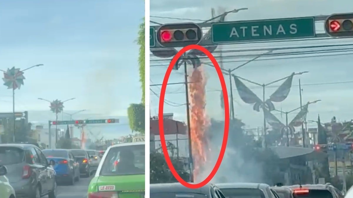 VIDEO ¡Se quema pino! Un corto en el alumbrado causó incendio en pleno camellón del López Mateos