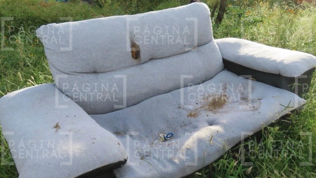 ¿Cómo está el bebé recién nacido abandonado en un sillón entre la maleza?