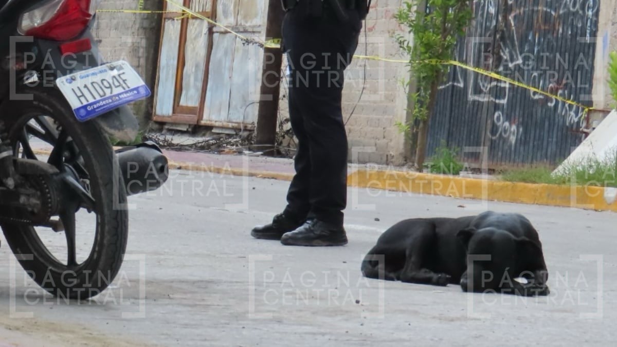 ¡No se movió de la reja! Perrito lo esperaba, pero don Pedro murió carbonizado en incendio