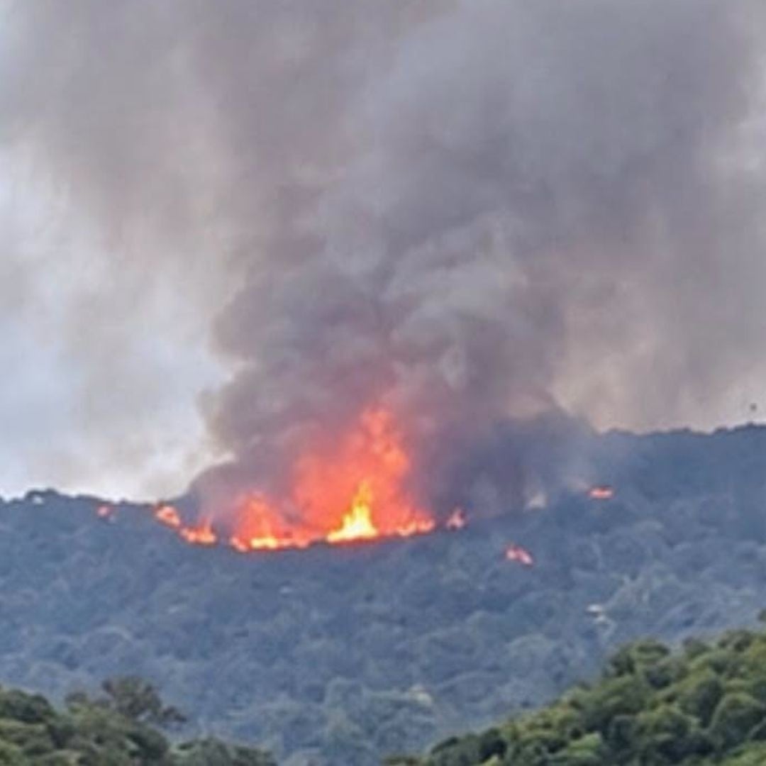 ¿Atentado contra el Gobernador? Avioneta se estrella en Nayarit