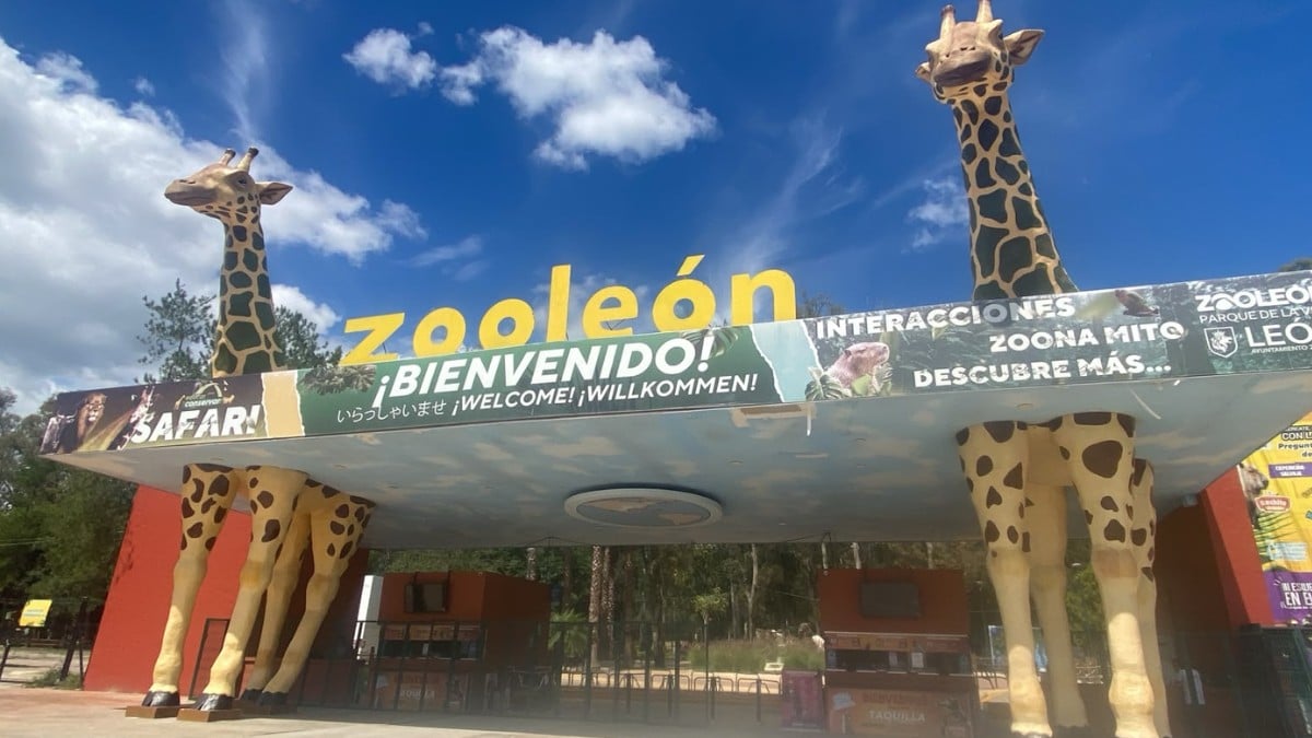 Rescinden contrato a empresa cazatalentos tras proponer perfiles deficientes para ZooLeón