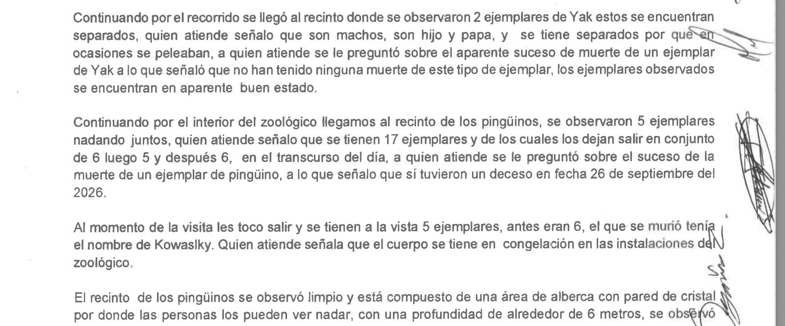 Zoo León desmiente a Profepa y niega la muerte de un yak durante este año