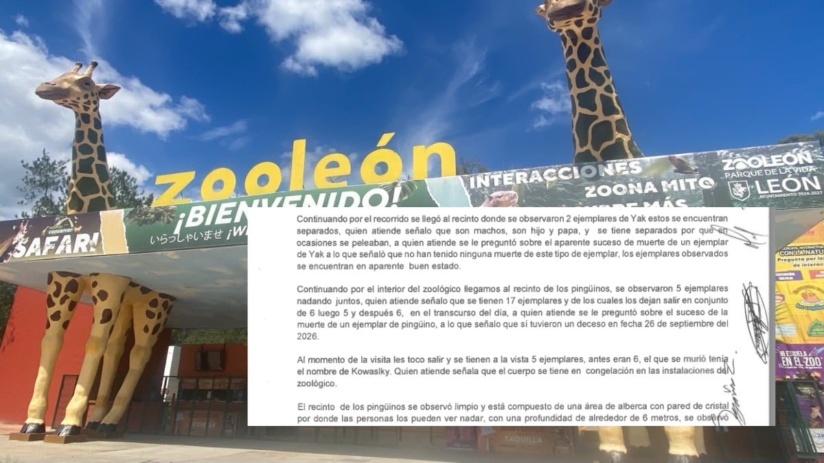 Desmiente Zoológico de León a Profepa: Ningún yak murió