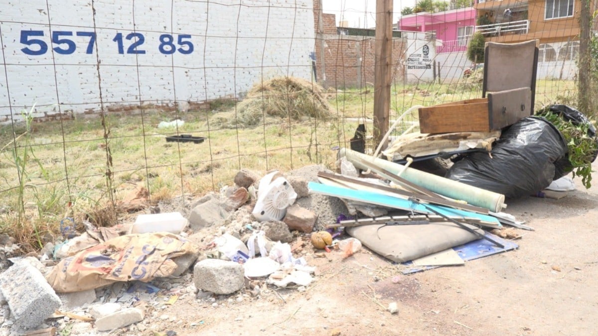 ¡Hasta animales muertos! La parada de camión en León que terminó convertida en un basurero