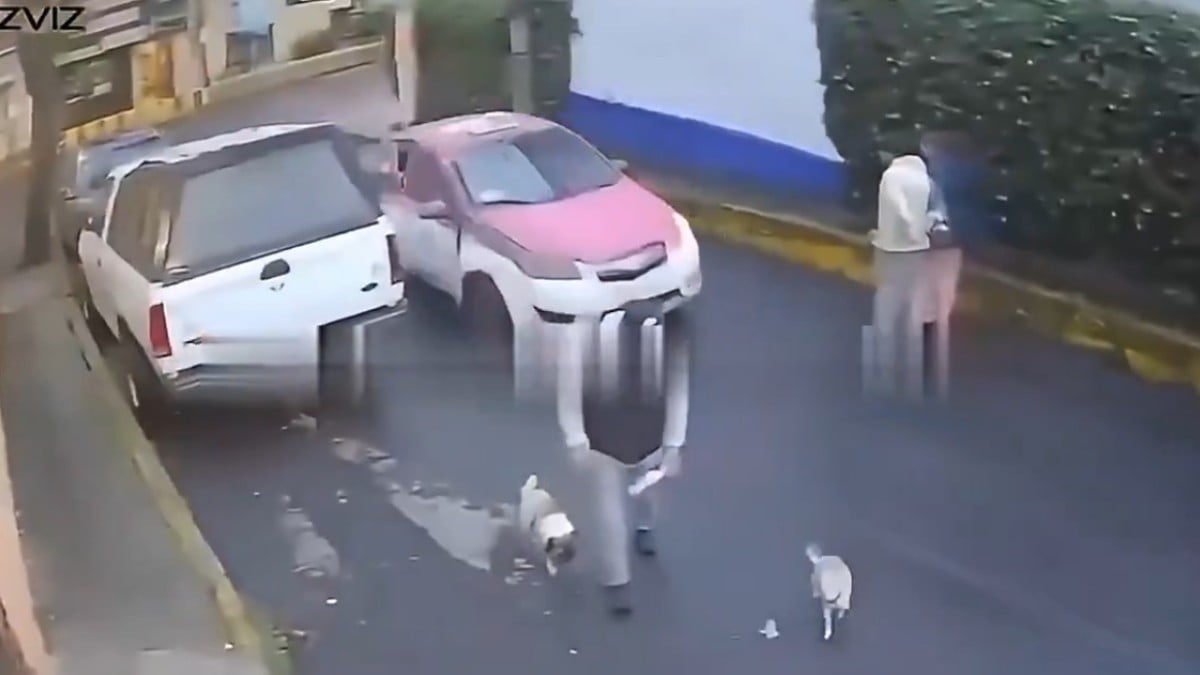 VIDEO Mujer iba en un taxi cuando el chofer la intentó asaltar; ella saltó del auto en movimiento